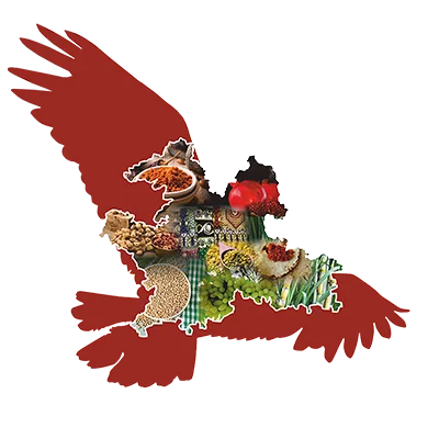 Red eagle silhouette containing a geographical map filled with images of agricultural produce.